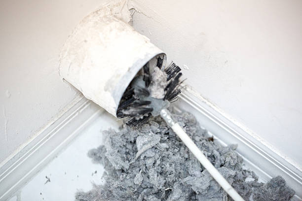 Best Air Duct Cleaning Near Me  in Mcnary, AZ